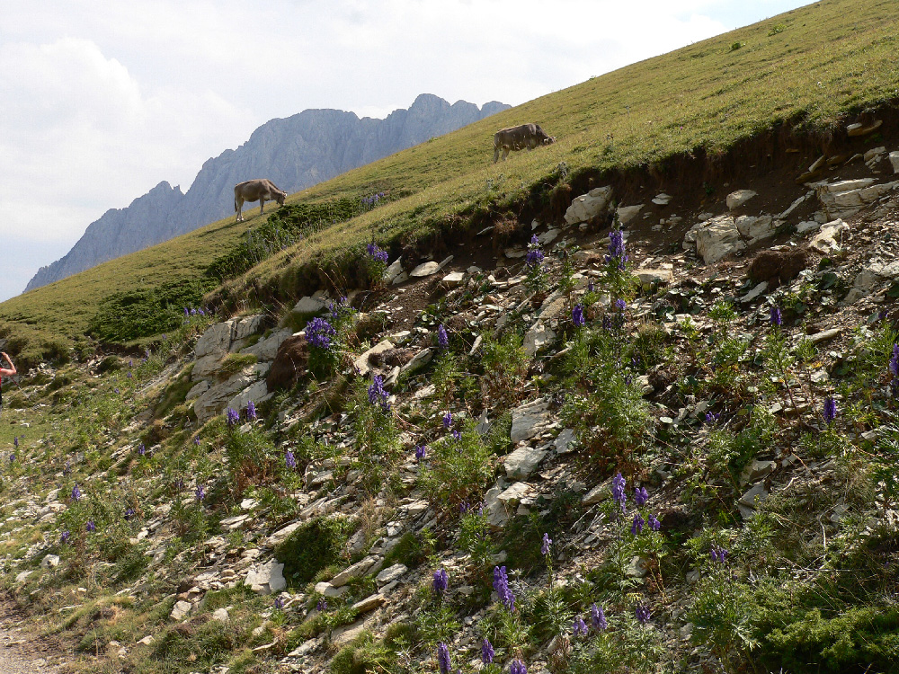 Le chemin des Bonshommes 32.jpg