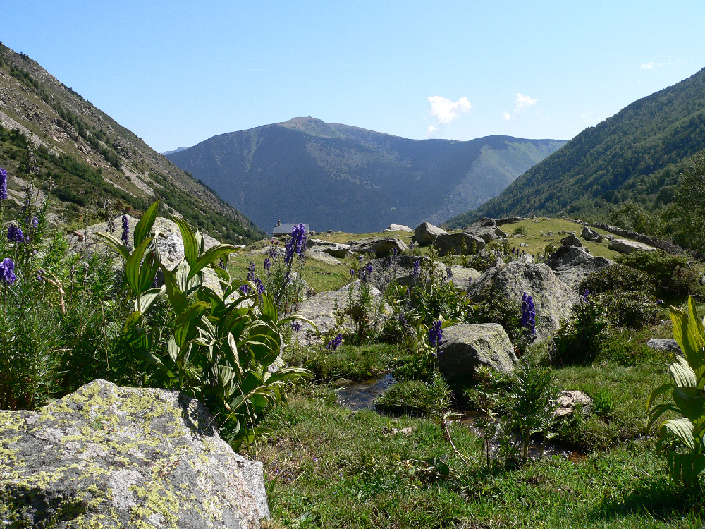 Le chemin des Bonshommes16.jpg