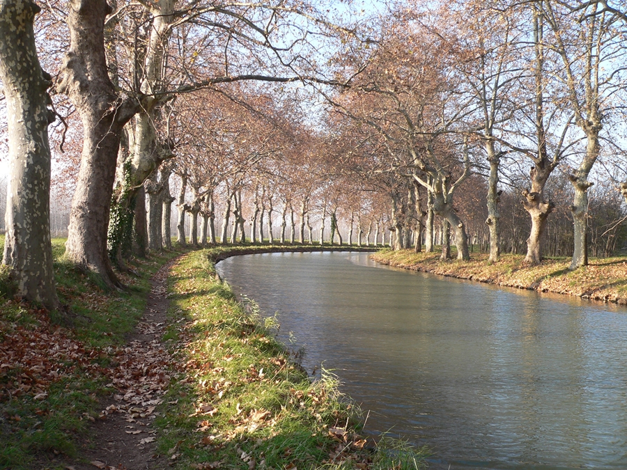 Les berges du canal 3.JPG
