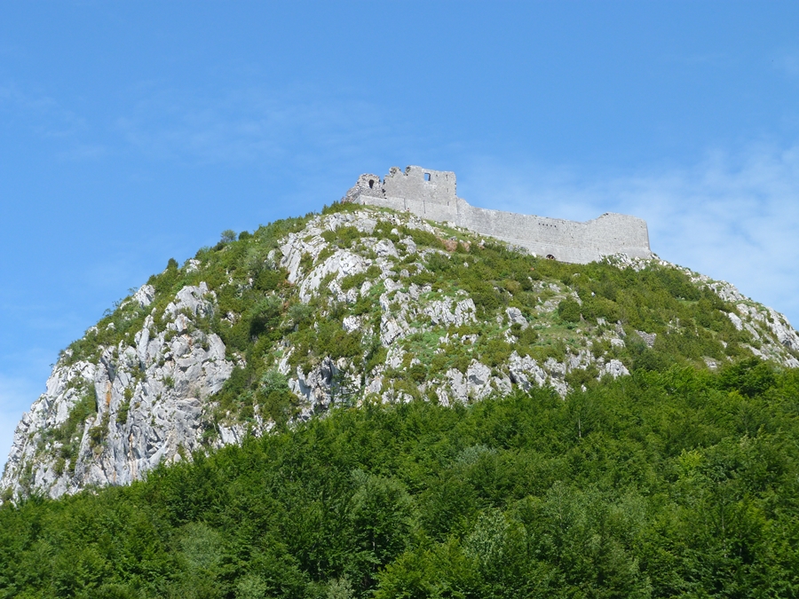 P1000377-JPG.jpg