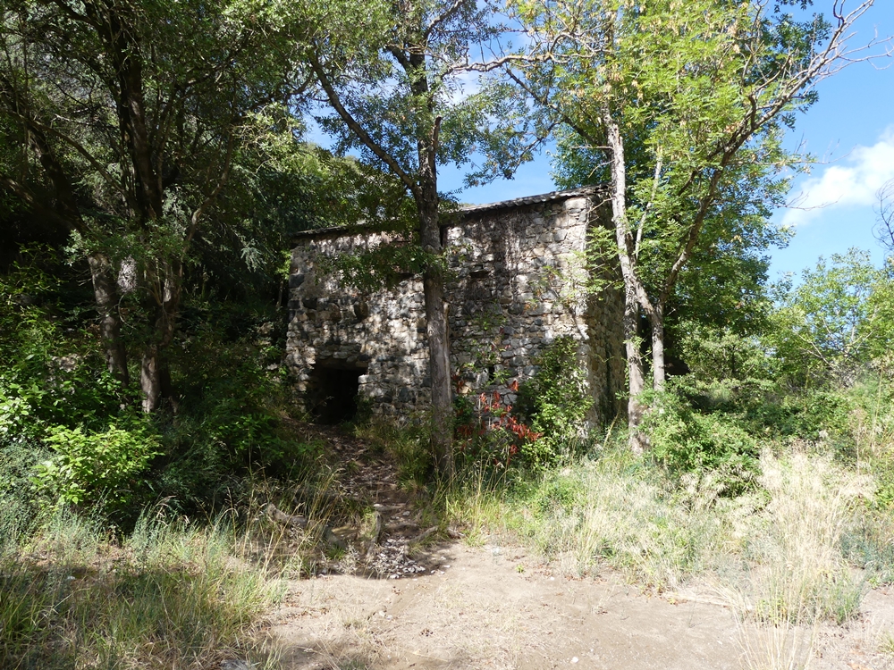 P1020444.JPG