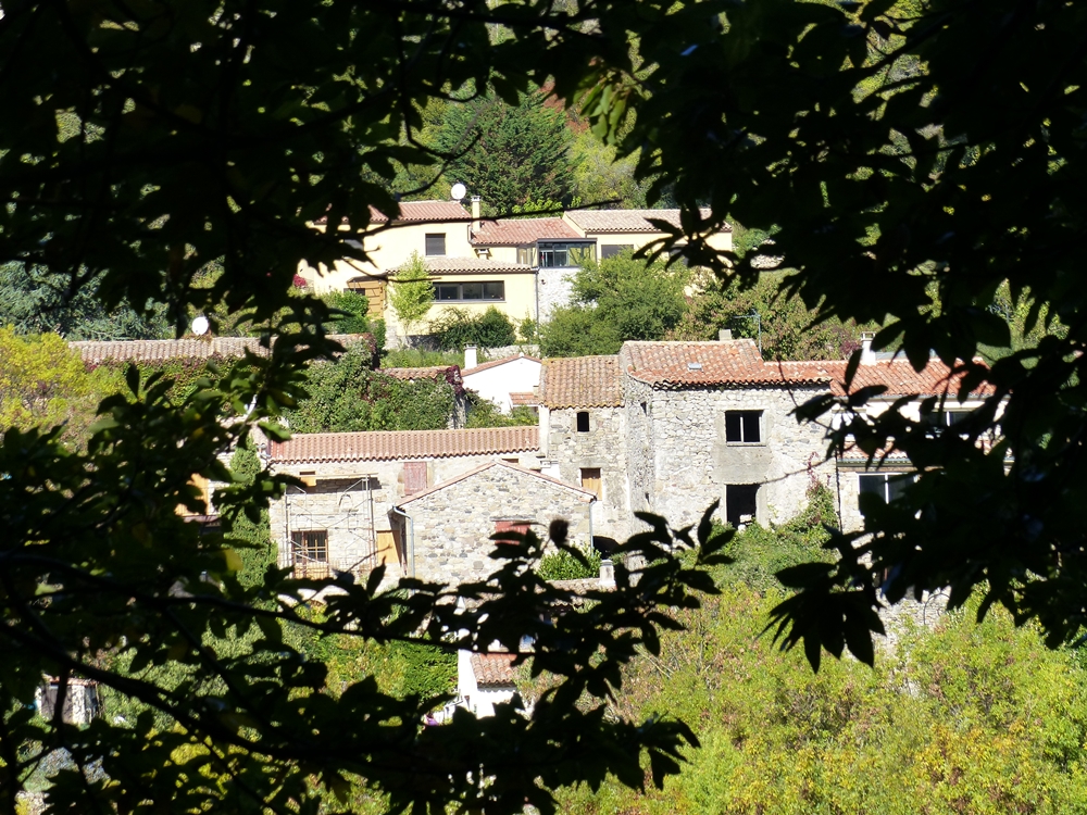 P1020621.JPG