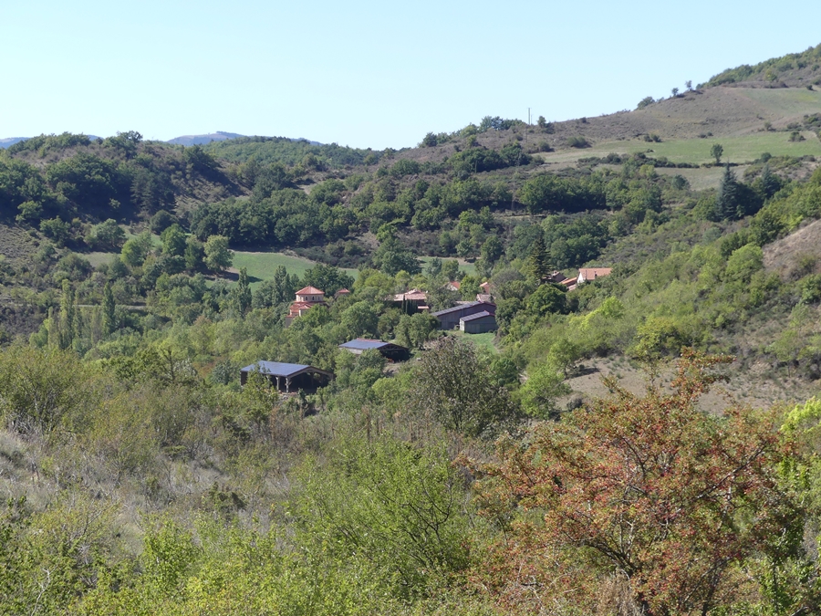 P1050288.JPG