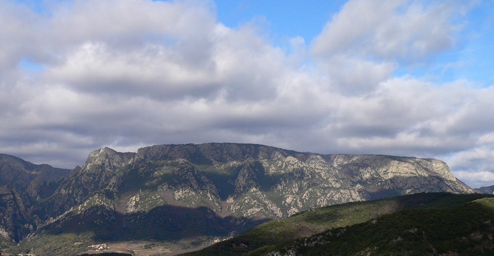 P1060886.JPG