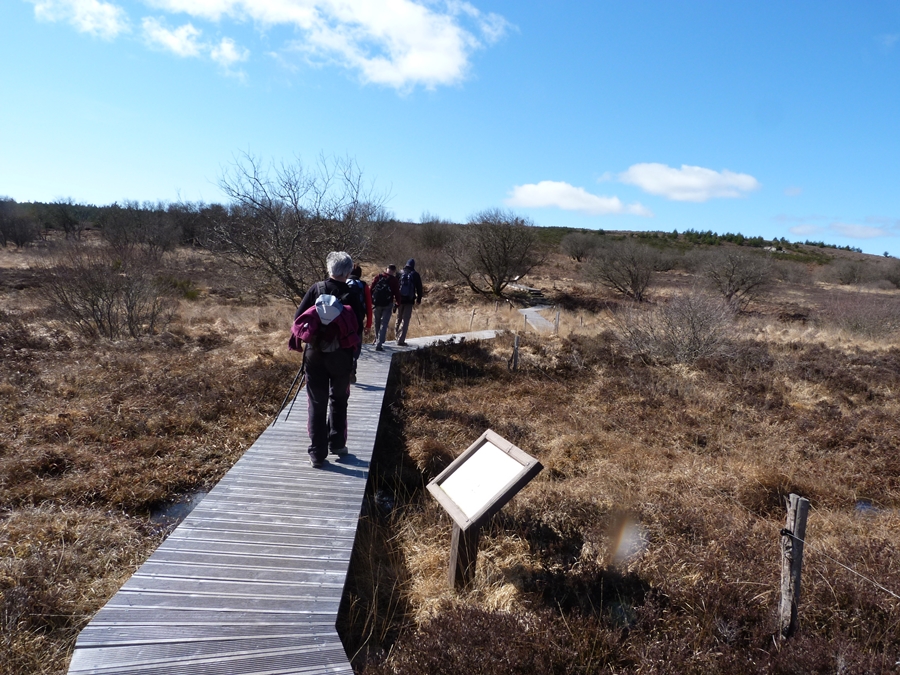 P1080201.JPG