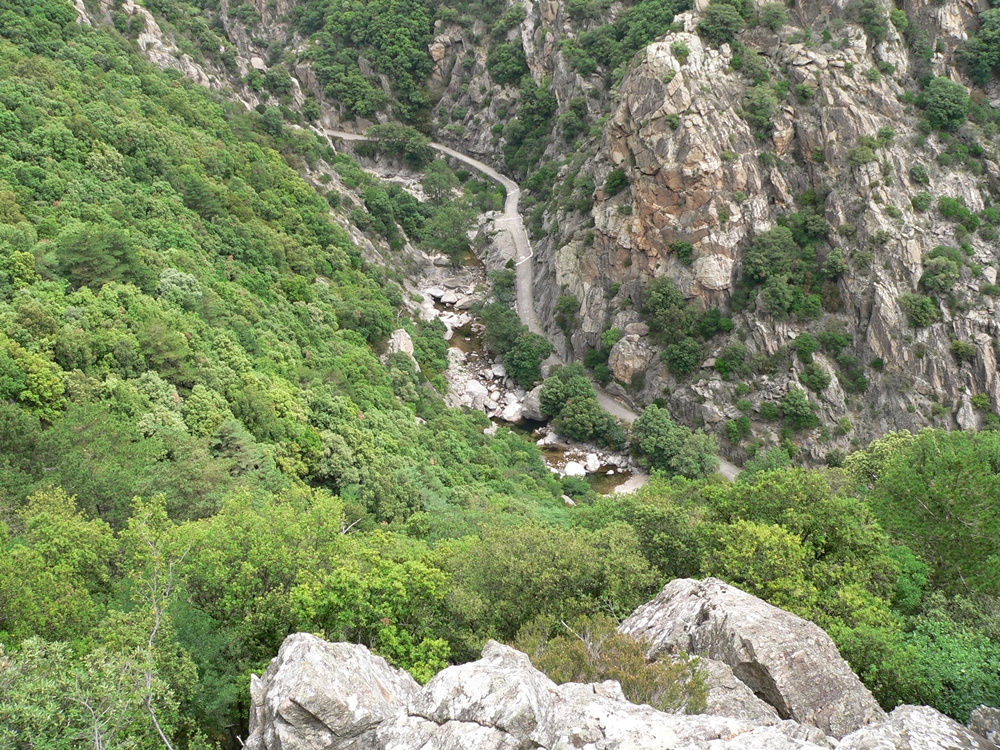 P1090189.JPG