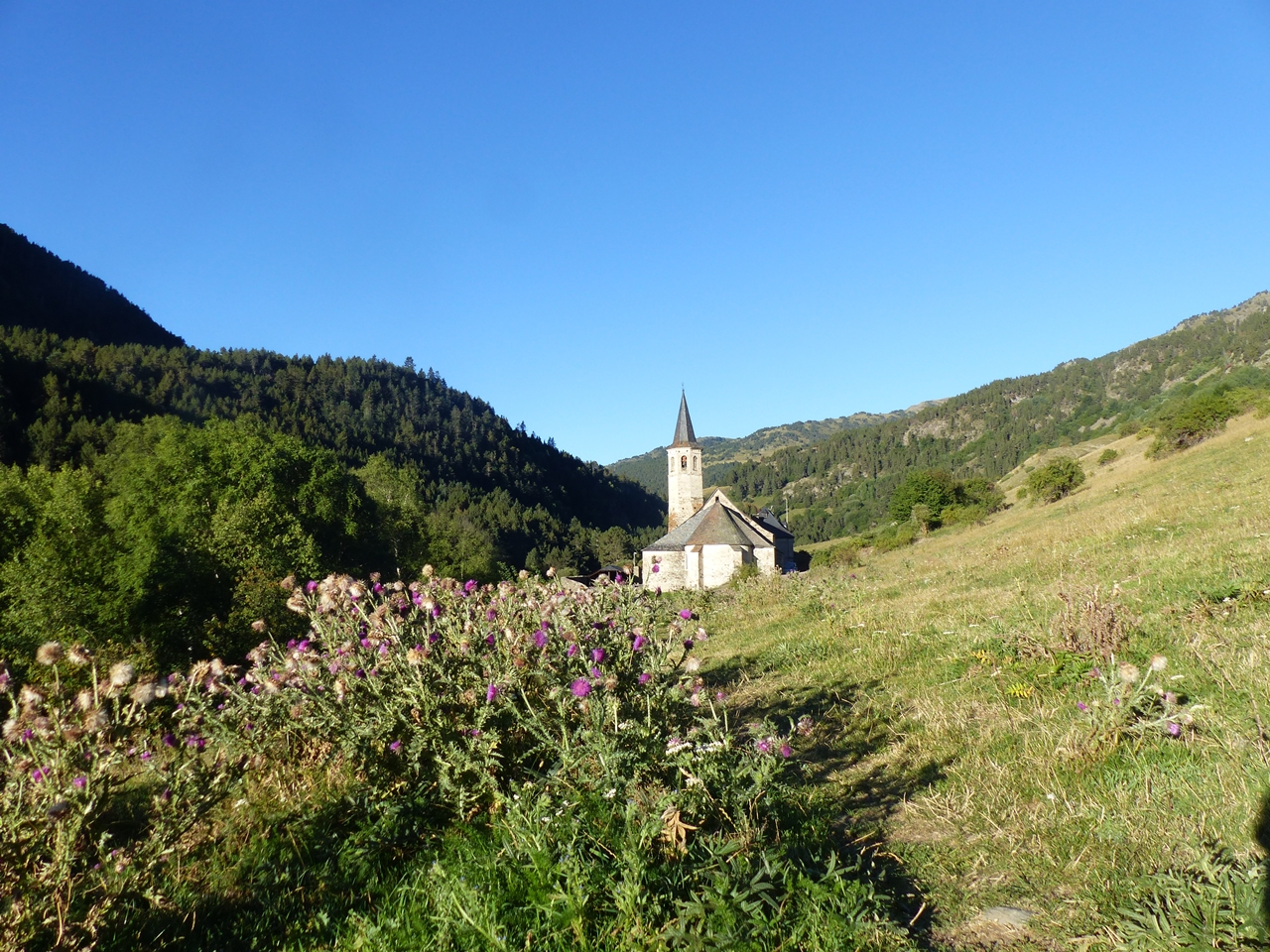 P1090296.JPG
