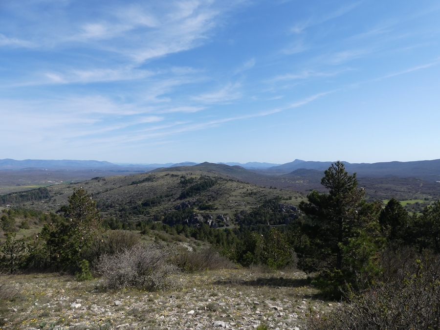 P1090567.JPG