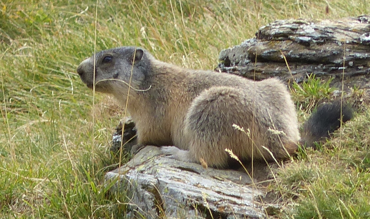 P1090573.JPG