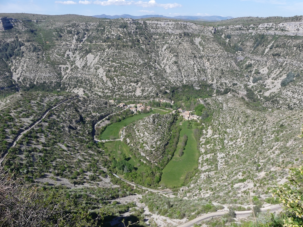 P1090593-JPG.jpg