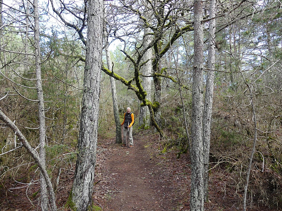 P1090622.JPG