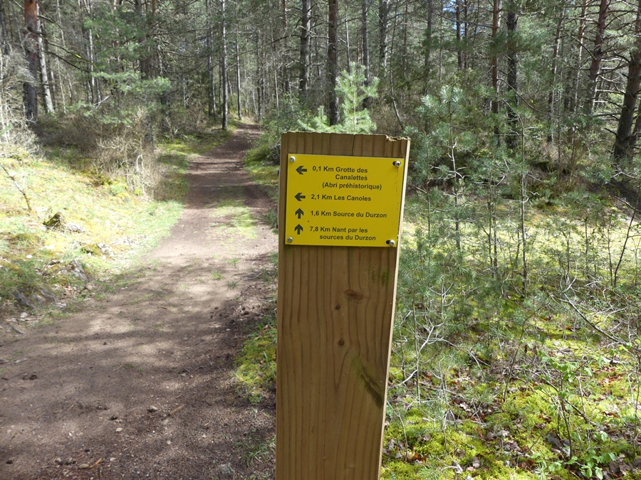 P1090641.JPG