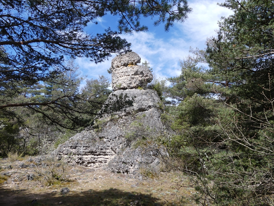 P1090654.JPG