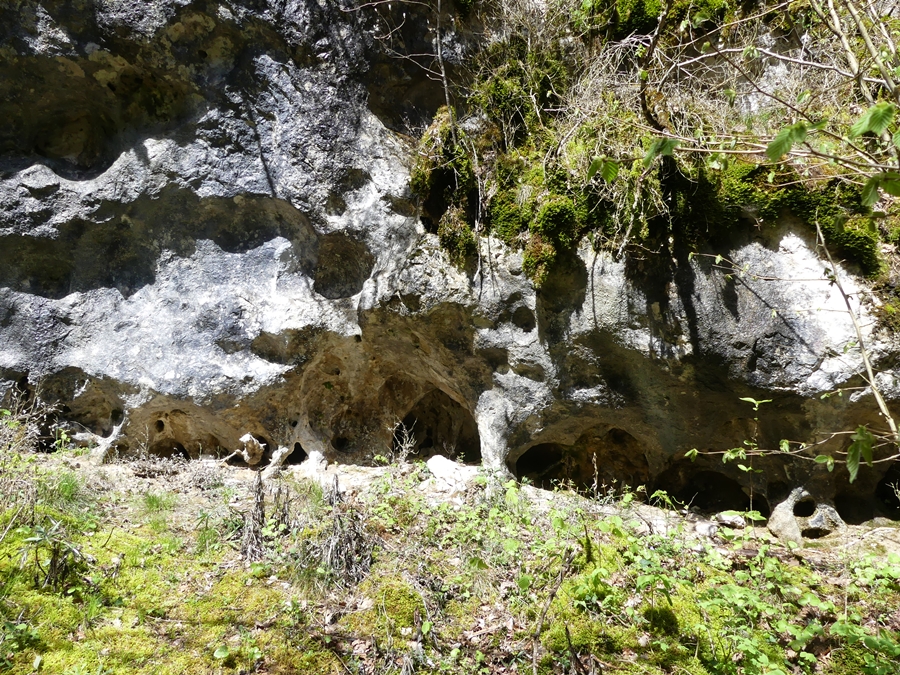 P1090656.JPG