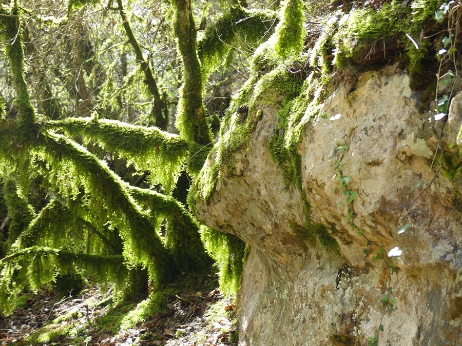 P1090658.JPG