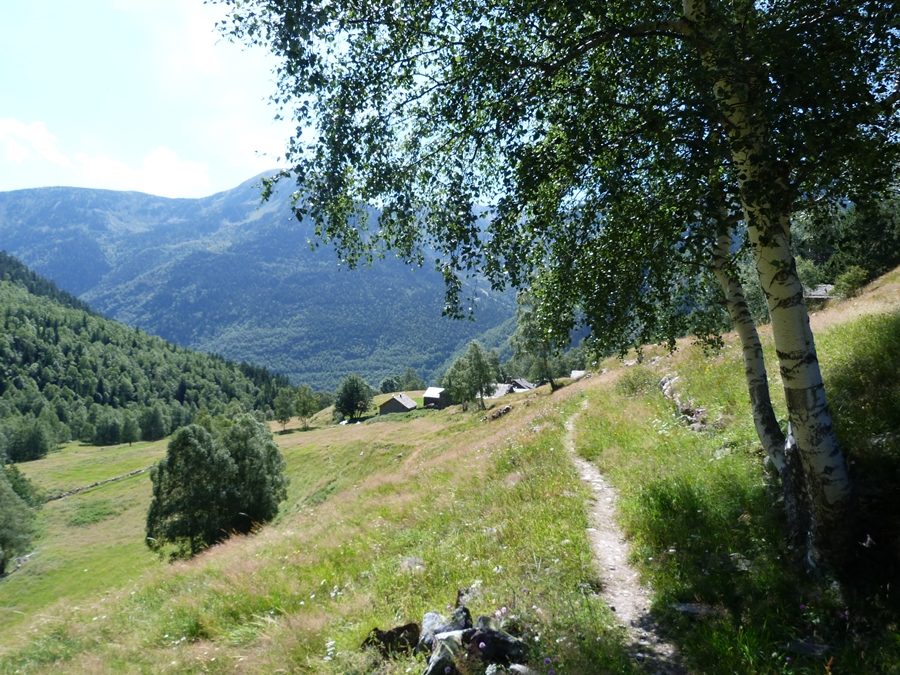 P1100027.JPG