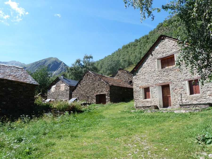 P1100031.JPG