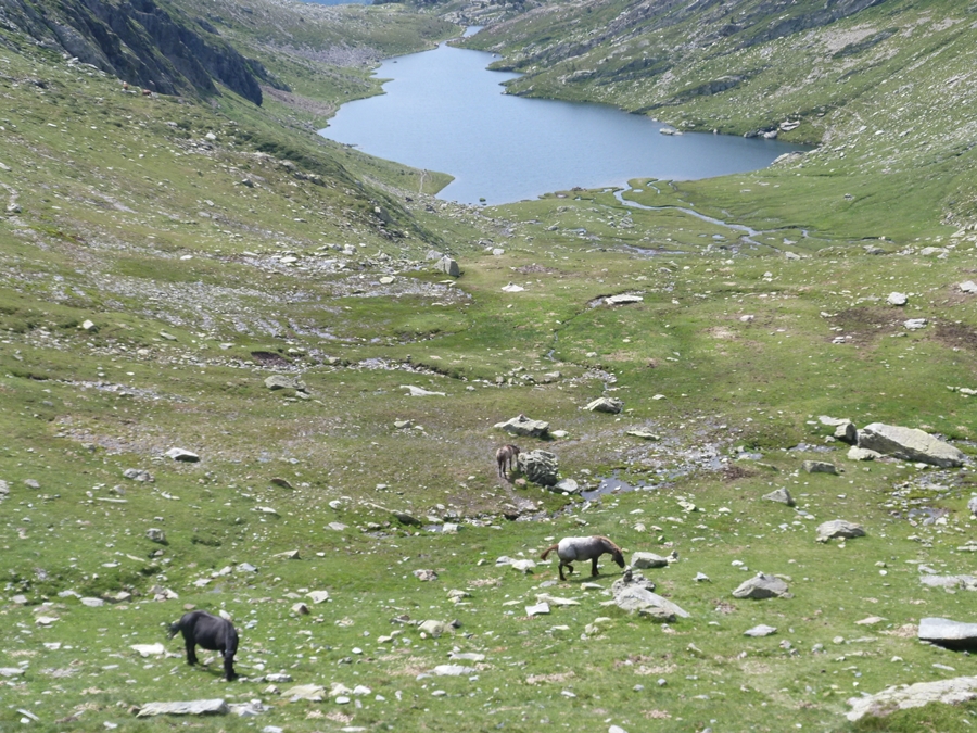 P1100063.JPG