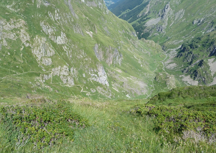 P1100077.JPG