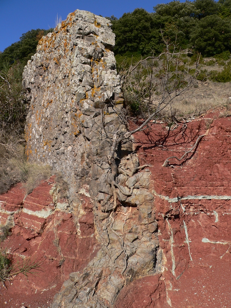 P1110539.JPG