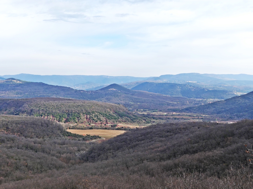 P1110541.JPG