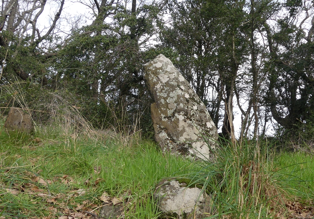 P1110547.JPG