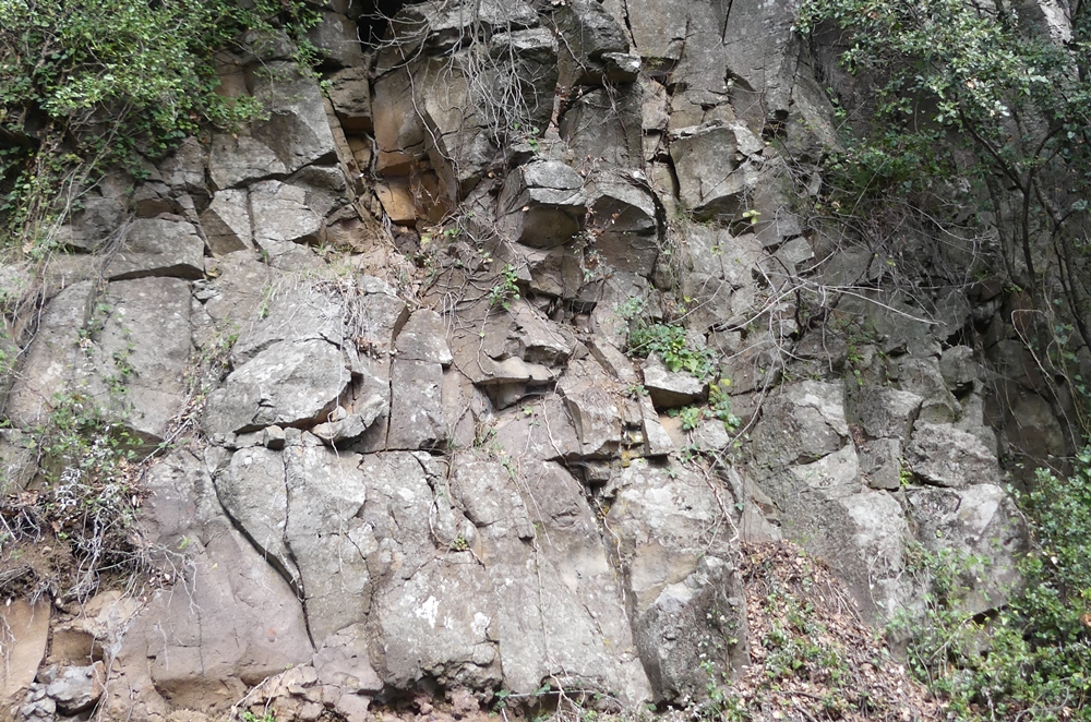P1110560.JPG