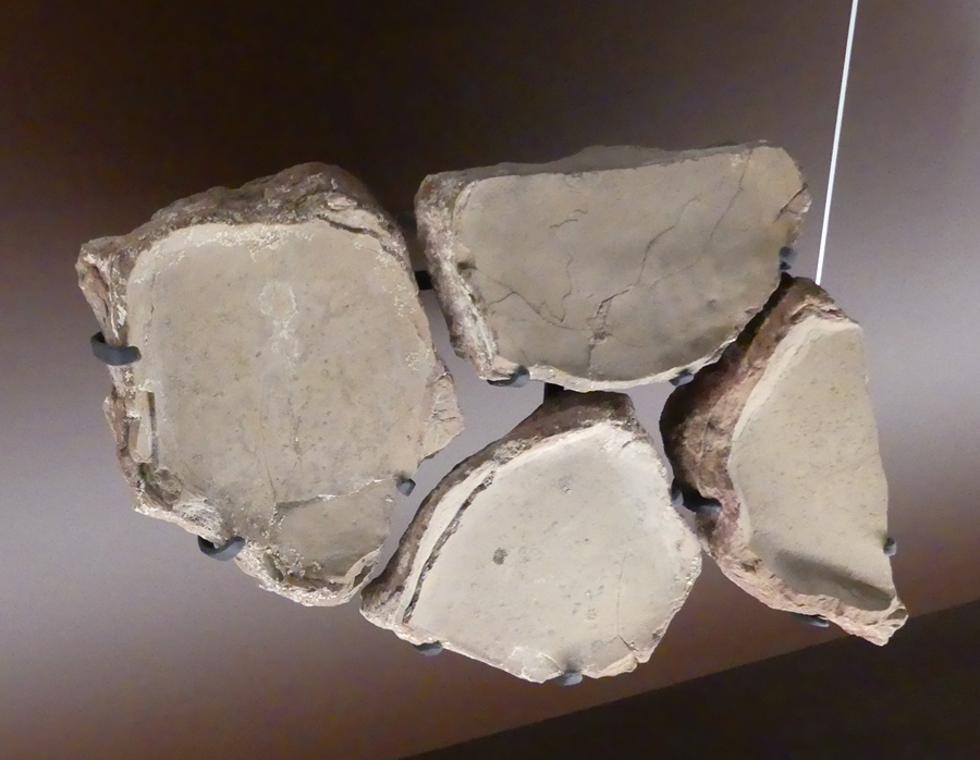 P1120539.JPG