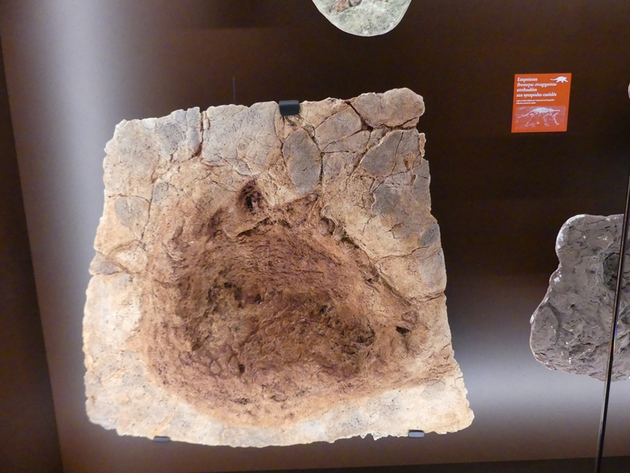 P1120541.JPG