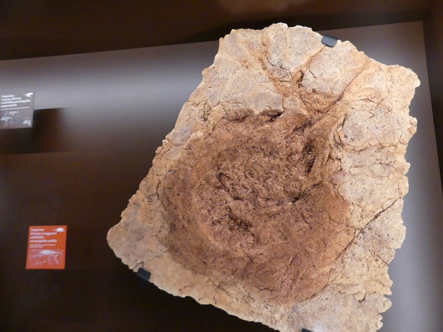 P1120543.JPG