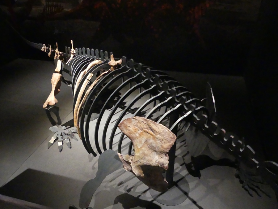 P1120545.JPG