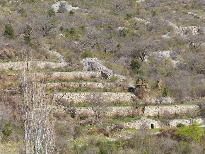 P1130516.JPG