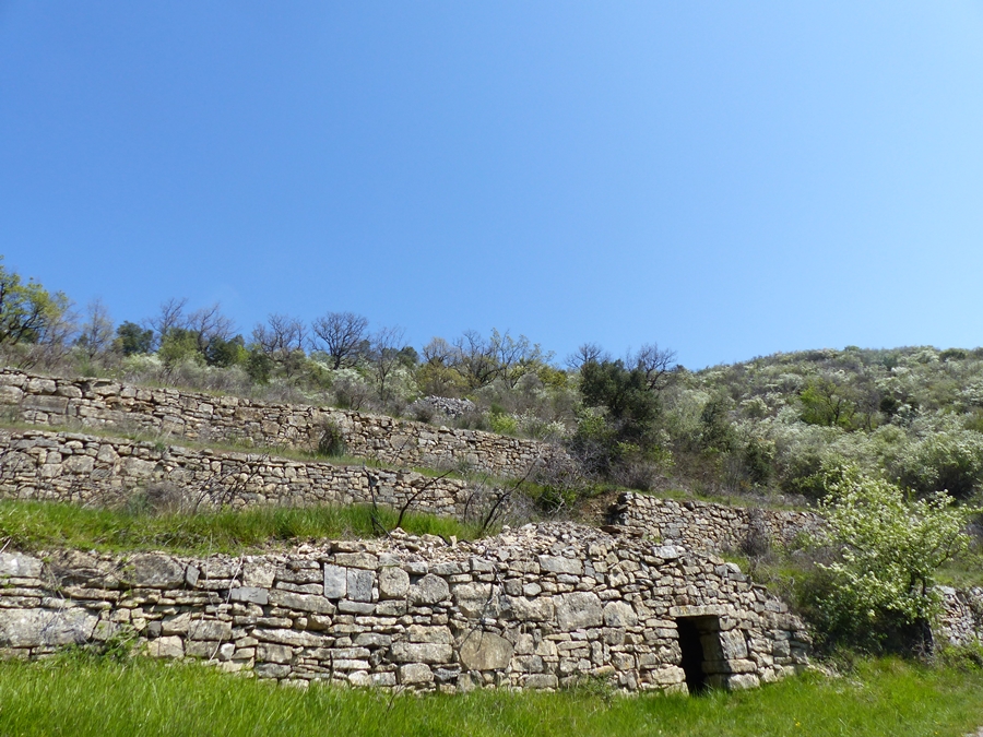 P1170349.JPG