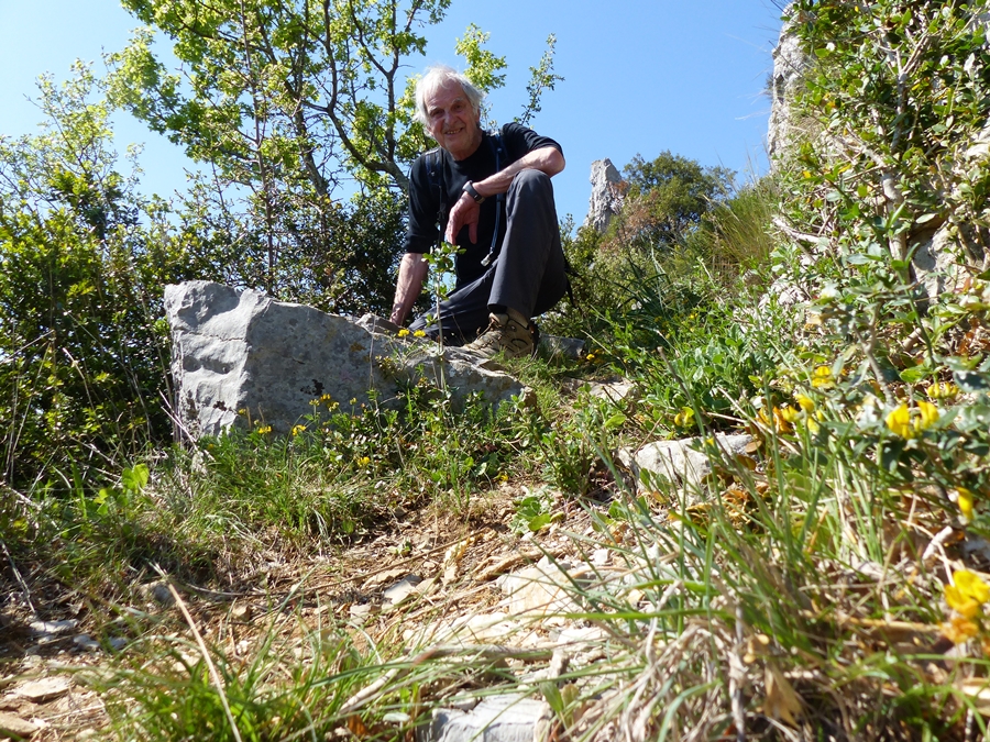 P1170394.JPG