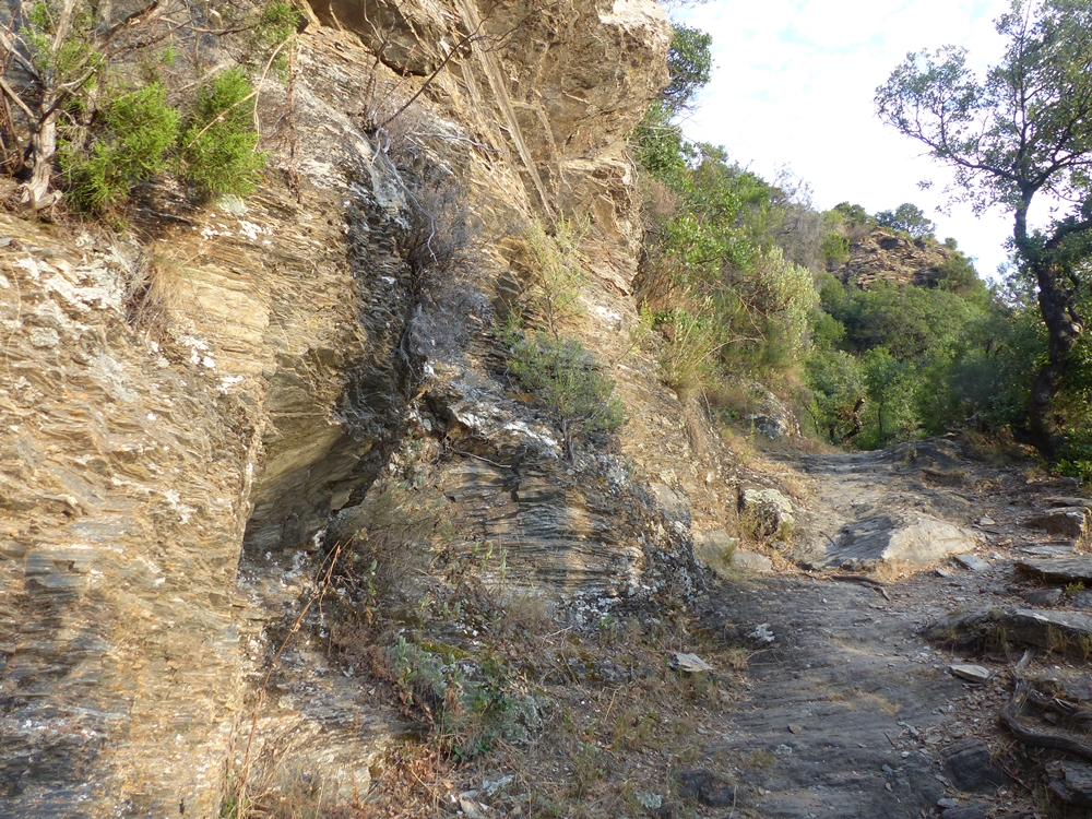 Chemin empierré - Randonnée des gorges de l'Orb à Roquebrun