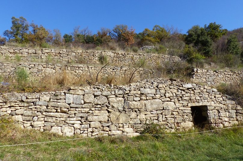 P1190730.JPG