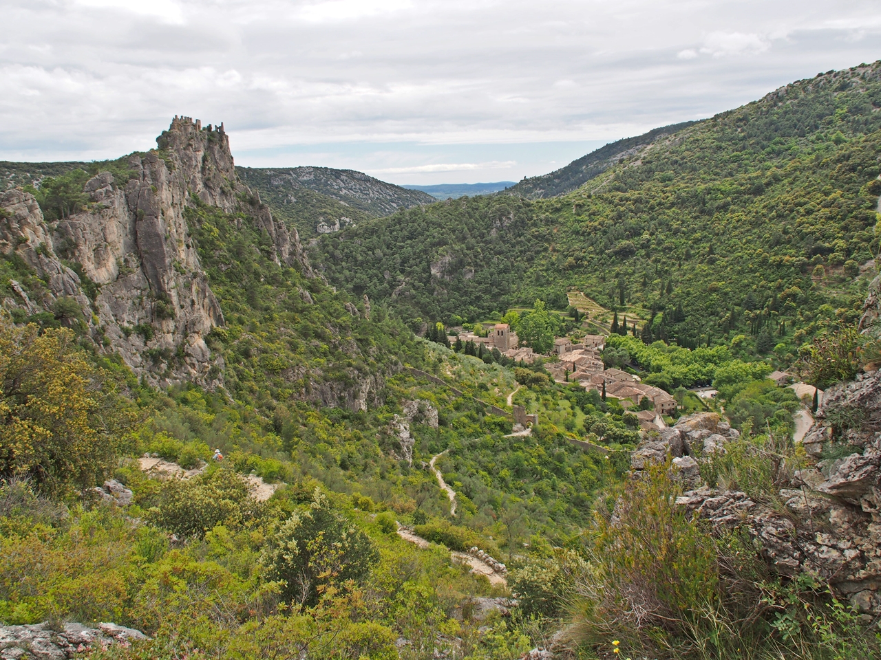 SG00516.JPG